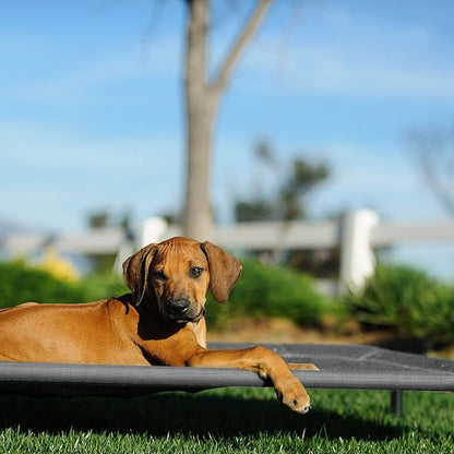 Veehoo Cooling Elevated Dog Bed CWC1803-L