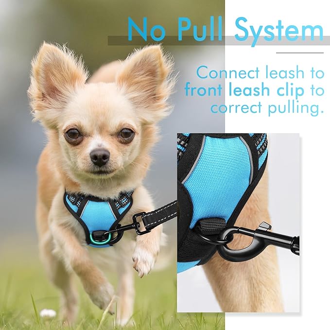rabbitgoo Dog Harness 2 Leash