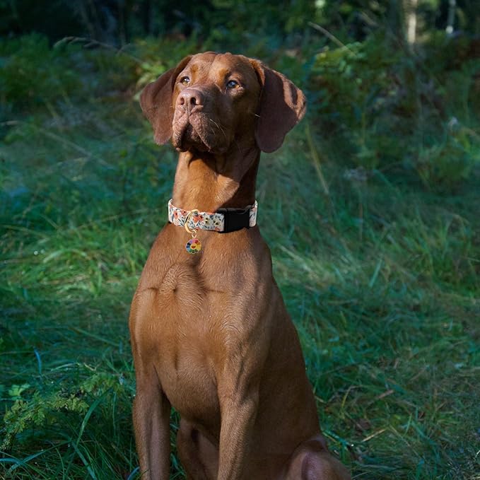 Flower Patterns Dog Collar with Accessories
