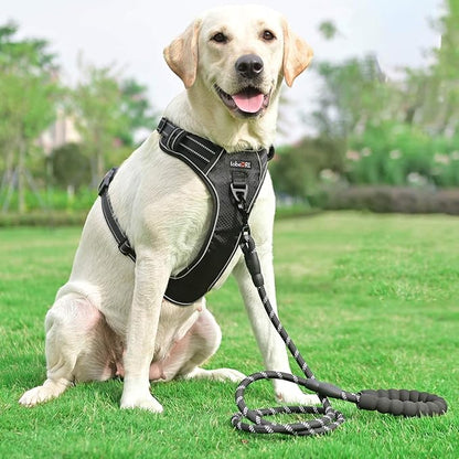 tobeDRI No Pull Dog Harness Adjustable Reflective Oxford Easy Control Medium Large Dog Harness with A Free Heavy Duty 5ft Dog Leash (XL (Neck: 21.5"-33", Chest: 30"-39.5"), Black Harness+Leash)