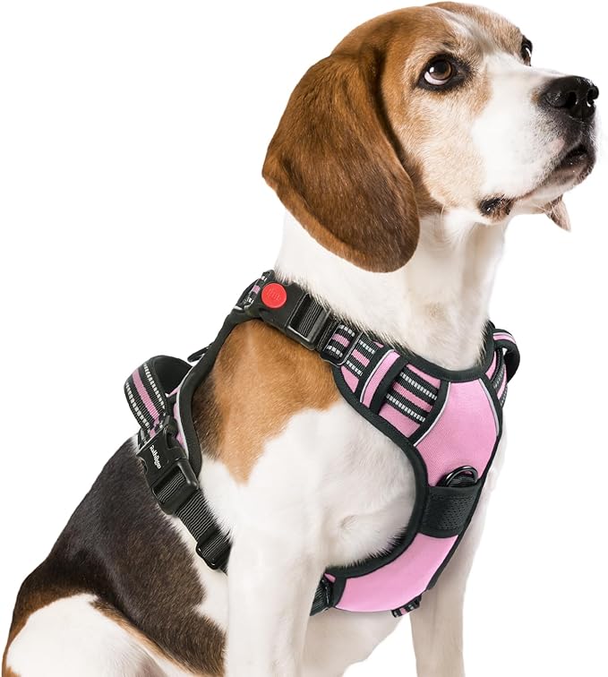 rabbitgoo Dog Harness Medium Sized, No Pull Pet Harness with 3 Buckles, Adjustable Soft Padded Dog Vest with Instant Control Handle, Easy Walking Reflective Pet Vest for Medium Dogs, Pink, M