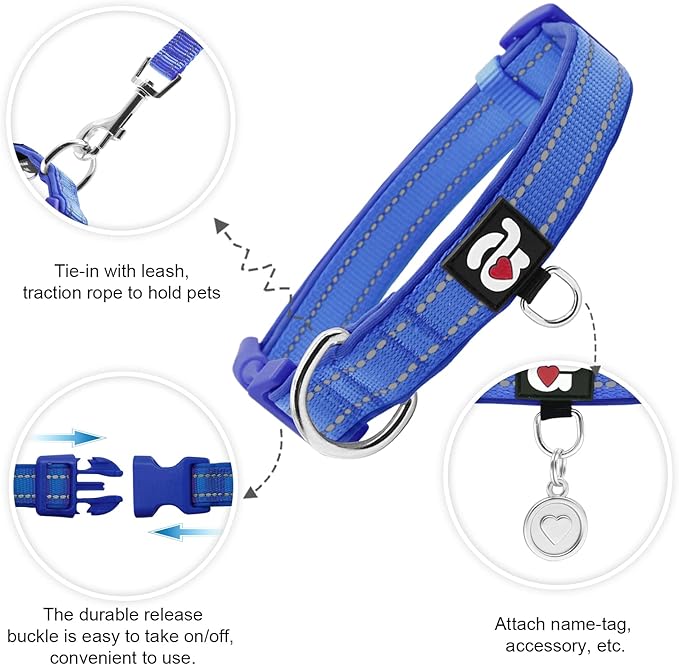 azuza Reflective Dog Collar with Airtag Holder