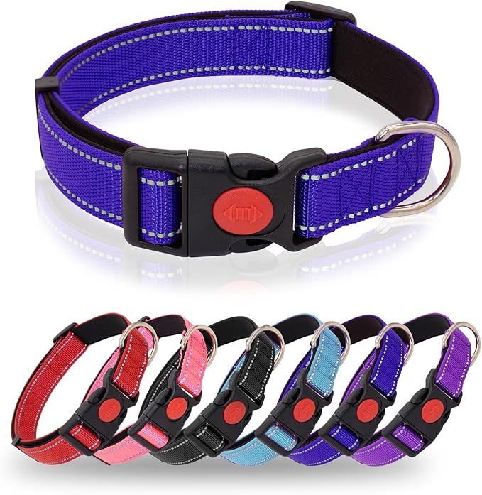 Reflective Dog Collar