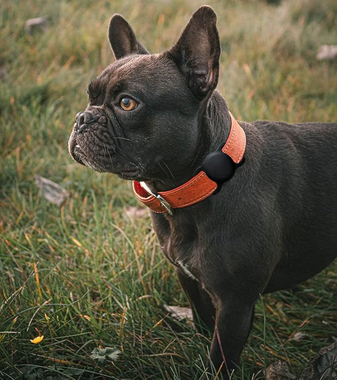 Air Tags-2 Pack Airtag Dog Collar Holder SWINCHO 1-3cm Width