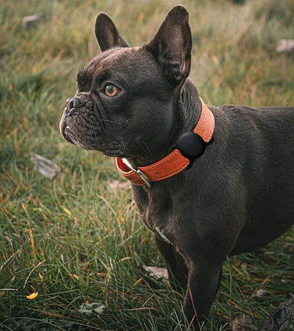 Air Tags-2 Pack Airtag Dog Collar Holder SWINCHO 1-3cm Width