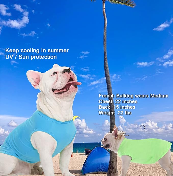 Dog Blank Summer Large Shirts