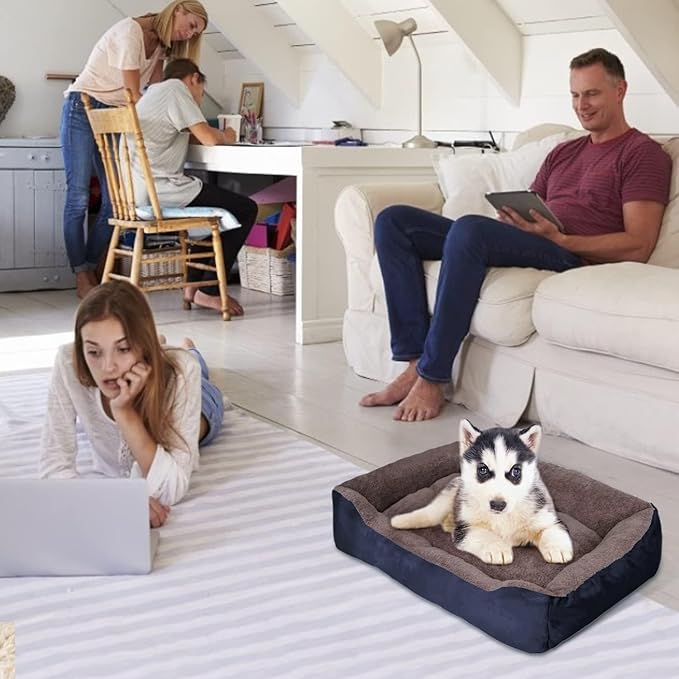 PUPPBUDD Dog Beds for Medium Dogs