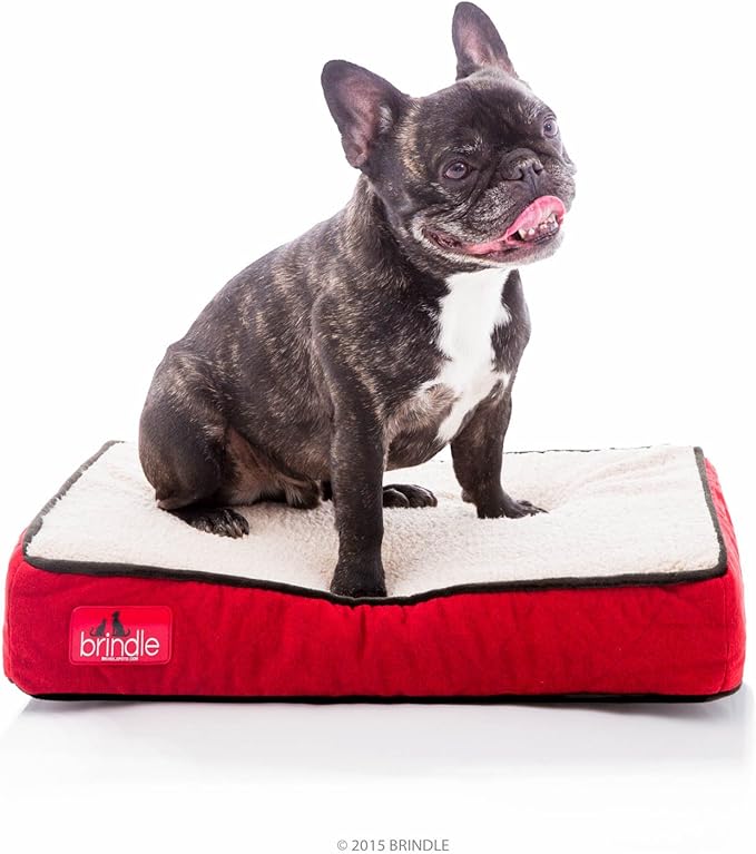 Brindle Waterproof Designer Memory Foam Pet Bed-Removable Machine Washable Cover-4 Inch Orthopedic Pet Bed-Joint Relief