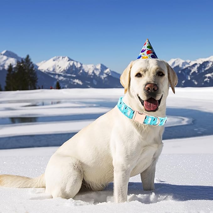 Dog Collar, Blue Bear Print Dog Collar Pet Collar Girl or Boy Pet Collar Dog Summer Durable Dog Collar Adjustable Dog Collar for Small Medium Large Dogs