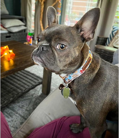 Lionheart glory Premium Dog Collars Fall Dog Collar