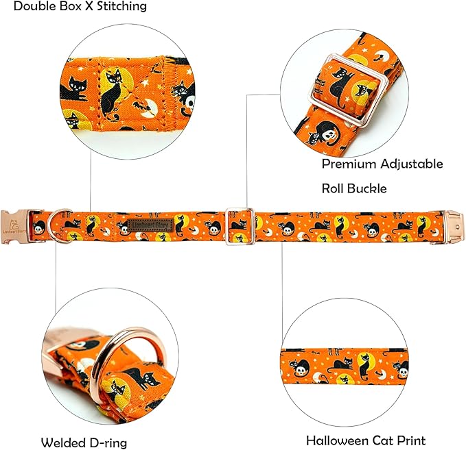 Lionheart glory Holiday Dog Collars Fall Halloween Cat
