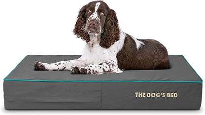 The Dog’s Bed Orthopedic Memory Foam Dog Bed 40x25, Pain