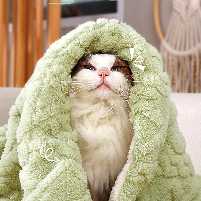 Premium Soft Dog Blanket Washable Puppy Essentials Dog