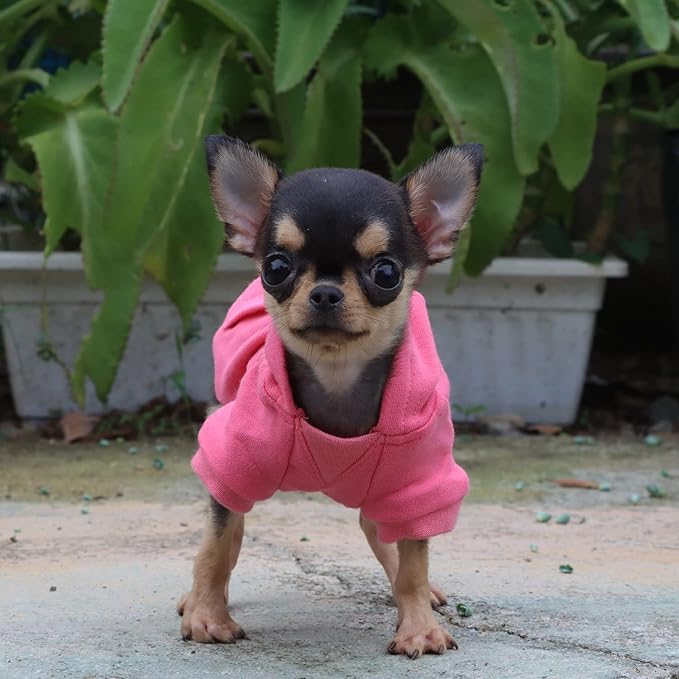 LOPHIPETS Lightweight Cotton Hoodie for Small Dogs – Hooded Sweatshirt for Chihuahuas Puppy and Toy Breeds-Pink/XS