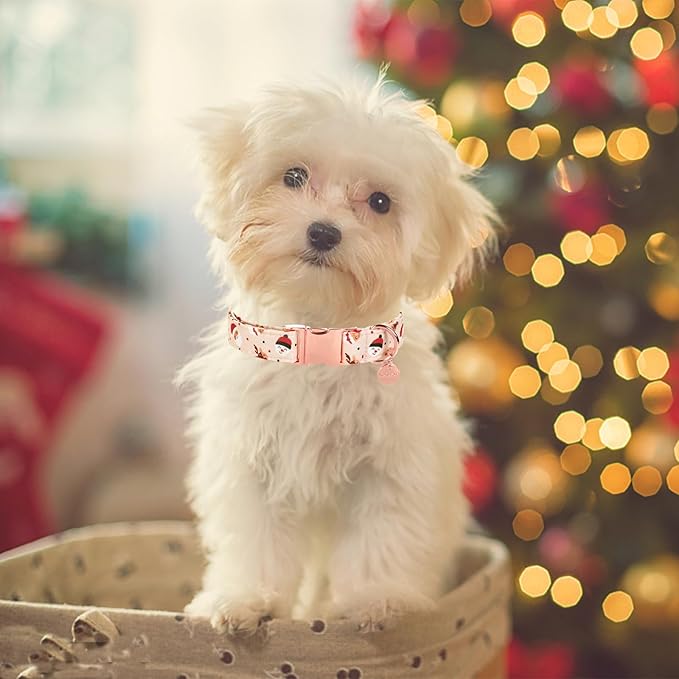 Christmas Dog Collar 16-24in