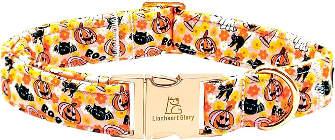 Lionheart glory Dog Collars Fall Halloween Pumpkin Collar