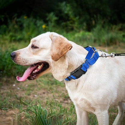 Reflective Martingale Dog Collars. Dog Collar with Quick