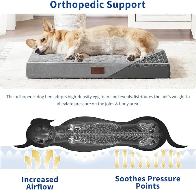 SunStyle Home Orthopedic Dog Beds for Medium Dogs