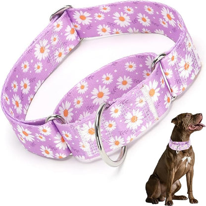 Martingale Collar 1.5 Inches Wide Girl Dog Collar