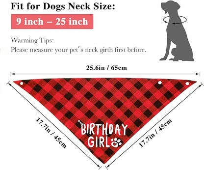 Birthday Plaid Dog Bandana with Button