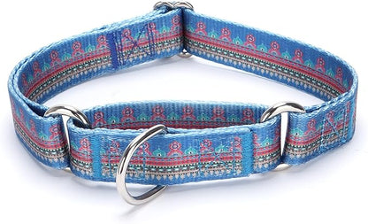 Martingale Dog Collars Blue1)