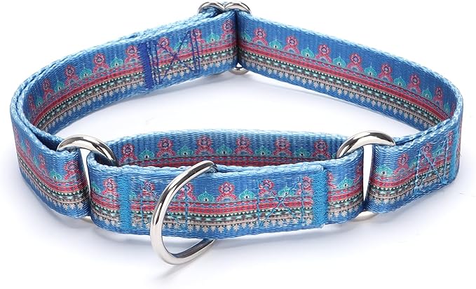 Martingale Dog Collars Blue1)