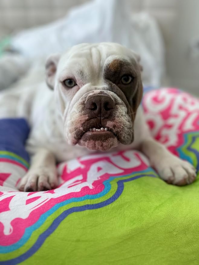 Dirty Dog Beauty Club -(23x21 inches),