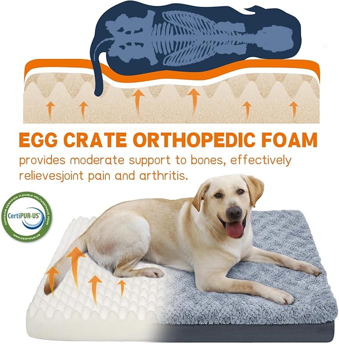 Supet Washable Orthopedic Dog Bed for Medium Large Dogs