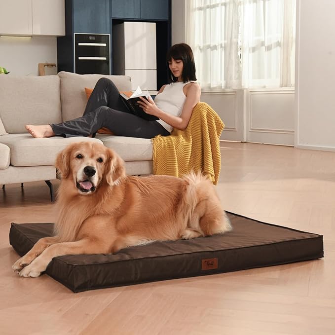 Outdoor All Weather XL Dog Bed