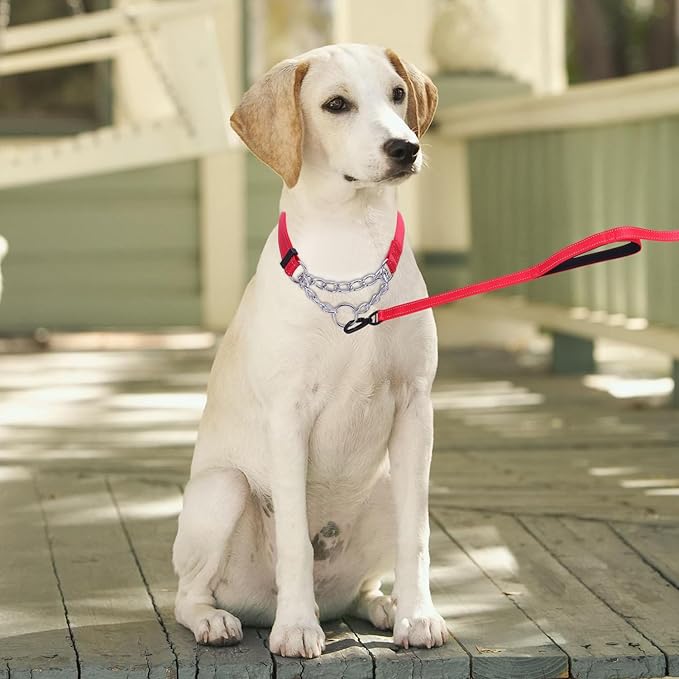 Martingale Dog Collar with Stainless Steel Chain and Leash Set 5FT Double