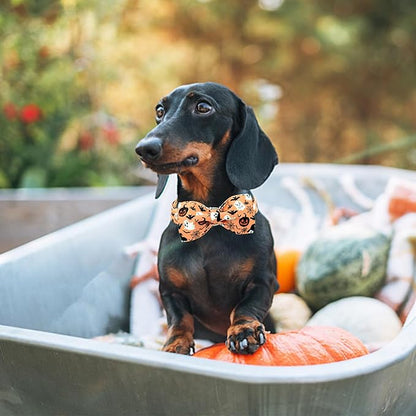 Lionheart glory Halloween Dog Collars, Bowtie Dog Collar Heavy Duty Adjustable Fall Holiday Dog Collar for X-Small Puppy Collar Dog Bow Female or Male Dog Collar Cute