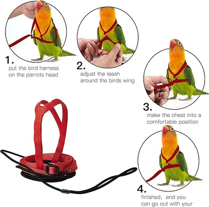 2 pcs Pet Parrot Bird Harness and Leash, Adjustable Training Design Anti-Bite, Outdoor Flying Training Rope Kit for Bird Parrots Fits Birds Chest Between24-51cm /9.45-20inch - M (red