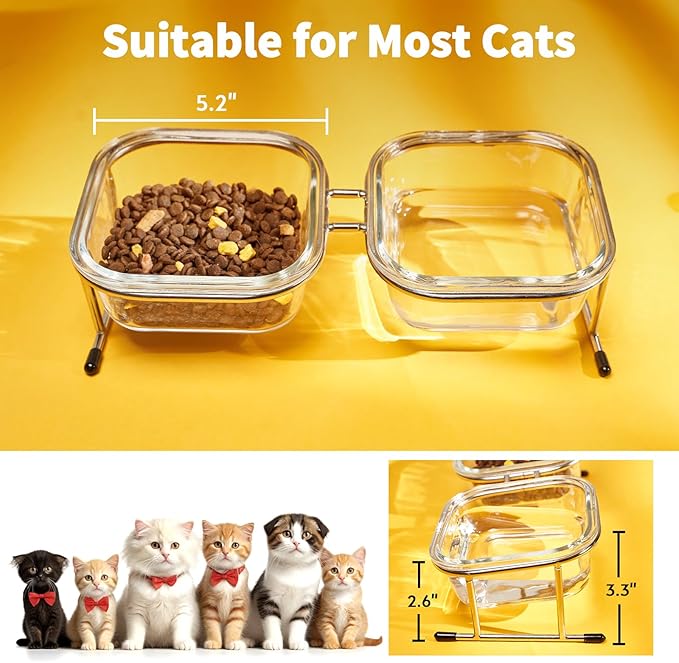 Elevated Cat Bowls, 15° Tilted Glass Raised Cat Food Bowl with Stainless Steel Stand, 2 Large Capacity Glass Cat Bowls and 4 Anti Slip Feet, Suitable for Cats and Little Dogs