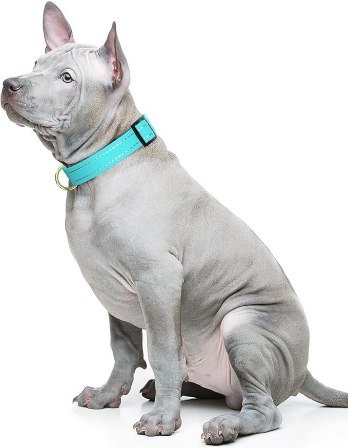 Reflective Dog Collar