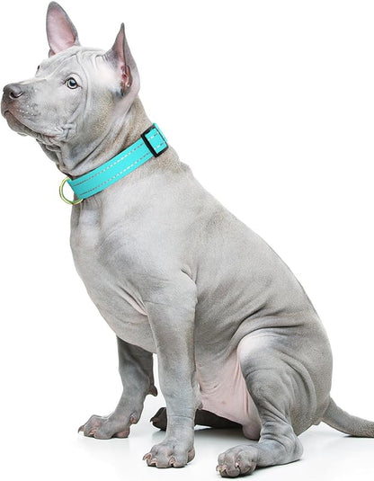 Reflective Dog Collar