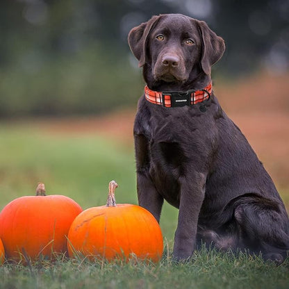 DOGWONG Cotton Dog Collar