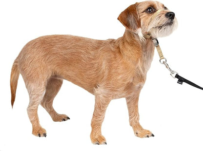 PetSafe Gentle Leader No-Pull Dog Headcollar