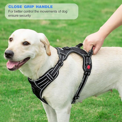 tobeDRI No Pull Dog Harness Adjustable Reflective Oxford Easy Control Medium Large Dog Harness with A Free Heavy Duty 5ft Dog Leash (S (Neck: 13"-18", Chest: 17.5"-22"), Purple Harness+Leash)