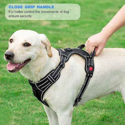 tobeDRI No Pull Dog Harness Adjustable Reflective Oxford Easy Control Medium Large Dog Harness with A Free Heavy Duty 5ft Dog Leash (M (Chest: 22"-26"), Orange Harness+Leash)