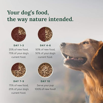 360 Pet Nutrition Raw Freeze-Dried Dog Food, High Protein, Complete Balanced Meal with Beef, Chicken,Organs, Whitefish, Omega-3, Fruit&Veg, Superfoods, No Fillers, 16oz Food/Bites/Kibble (Multi Meat)