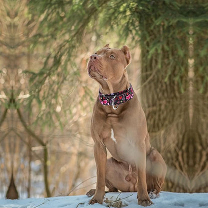 1.5 Inches Wide Martingale Dog Collar