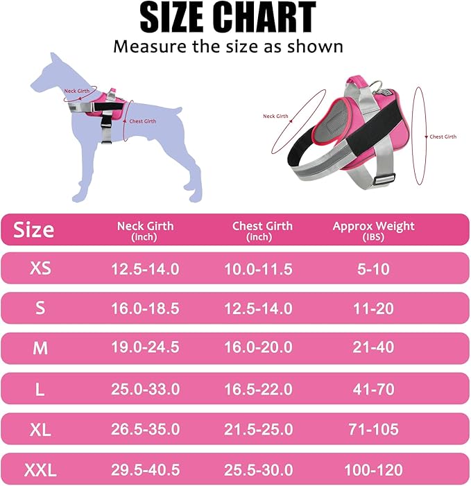 Bolux Dog Harness 1))