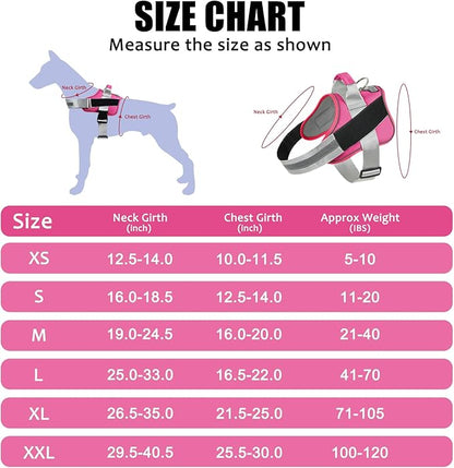 Bolux Dog Harness 1))