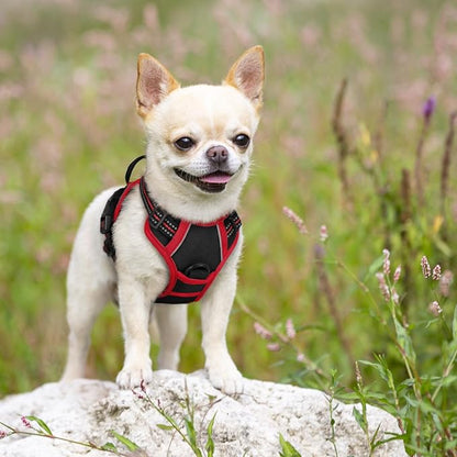 rabbitgoo Dog Harness 2 Leash