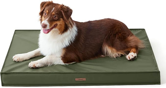 Lesure Waterproof Dog Bed for Medium Dogs