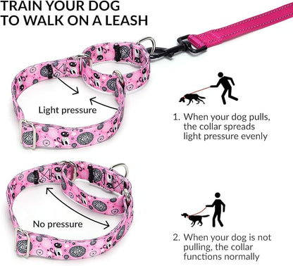 Martingale Dog Collars (12, L)