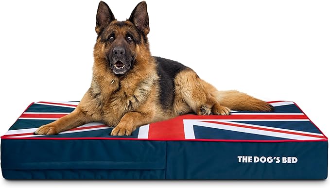 The Dog’s Bed Orthopedic Memory Foam Dog Bed 46x28, Pain