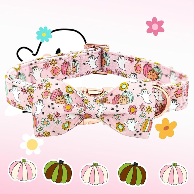 Elegant little tail Fall Dog Collar