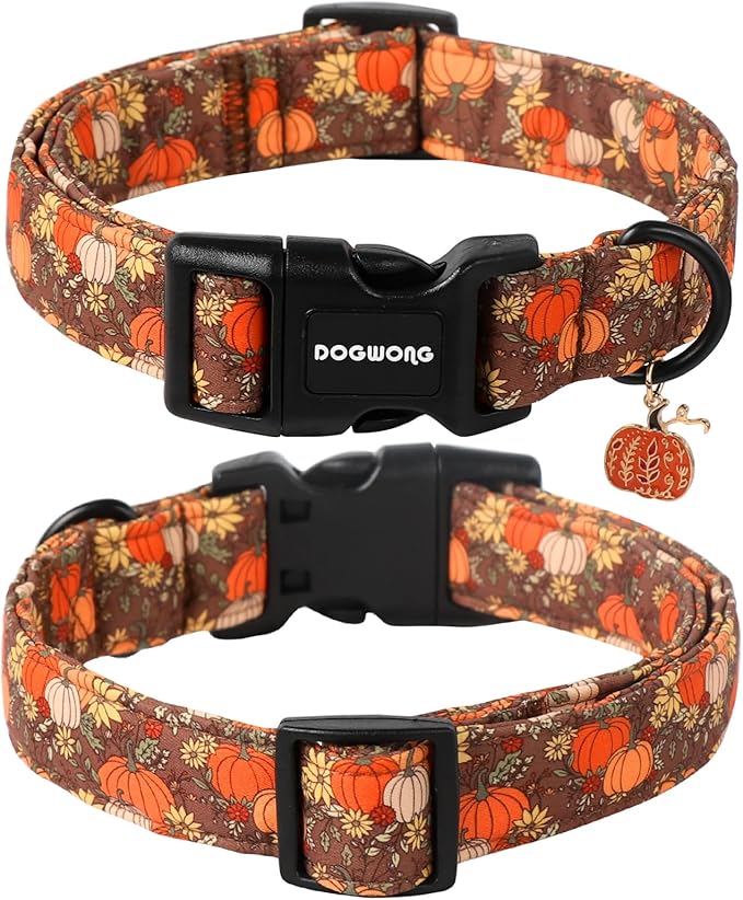 DOGWONG Fall Pumpkin Dog Collar- Design Fall Holiday
