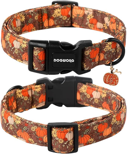 DOGWONG Fall Pumpkin Dog Collar- Design Fall Holiday